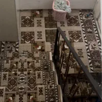 نصب موکت، نصب چمن، نصب سجاده، نصب گلیم|خدمات پیشه و مهارت|تهران, بهار|دیوار