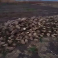 چند تریلی حمل چغندر به کارخانه خوی نیاز دارم