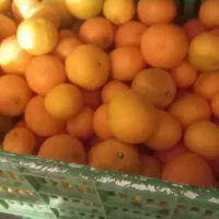 پچ ۷۰ کیلو  چیده شده