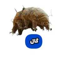 سمپاشی تضمینی منازل و محل کار|خدمات نظافت|نیشابور, شهرک فرهنگیان|دیوار