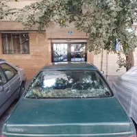 پژو آردی 84