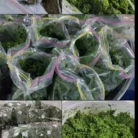 سبزی خروشتی اماده وابپز شده|خوردنی و آشامیدنی|حمیدیه, |دیوار