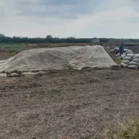 فروش ذرت علوفه یی|عمدهفروشی|فاضل آباد, |دیوار