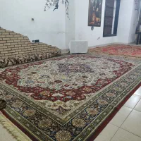 قالی آلمانی ۳۵۰ شانه|فرش|شیراز, لاله|دیوار