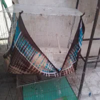 4عدد قفس قناری 52سالم مرتب فروشی