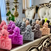 شمع نمادسال اسب