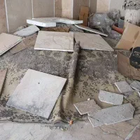 ماسه مجانی