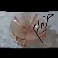 ظروف کریستال قدیمی آنتیک