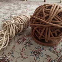 قیطان