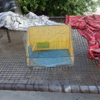 قفس سایز بزرگ کامل