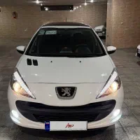 ۲۰۷پانادنده ای