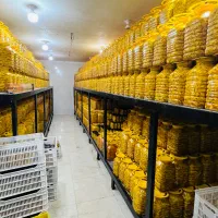 ترشی انبه|عمده‌فروشی|میناب, |دیوار