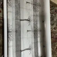دو عدد پرده زبرا