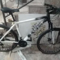 دوچرخه ویوا 29 بدون جوش