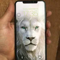 iphone xs max|موبایل|شیراز, شهرک بهشتی|دیوار