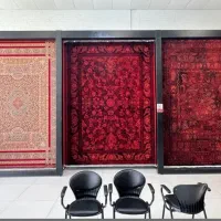 فرش مانعلی ۱۲۰۰ شانه کد ۳۵۷۰ نخ اکرولیک پلاس|فرش|شیراز, فرهنگیان|دیوار