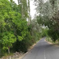 گوغر ز.م.ی.ن