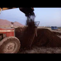 کود دامی|خدمات باغبانی و درختکاری|درودزن, |دیوار