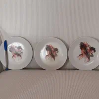 چینی|ظروف سرو و پذیرایی|تبریز, |دیوار