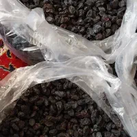 مویز بدون هسته تازه