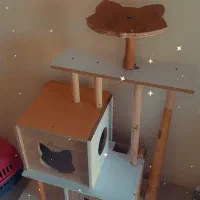 لونه گربه|لوازم جانبی حیوانات|پرند, فاز ۶|دیوار