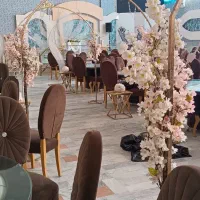 دیجی خانم و آقا