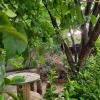 اجاره روزانه باغ جاده سنندج|اجارهٔ کوتاهمدت ویلا و باغ|کرمانشاه, |دیوار