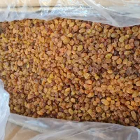 فروش مستقیم گردو بادام مغز تویسرکان|خوردنی و آشامیدنی|اسلام‌شهر, شهرک قائمیه|دیوار