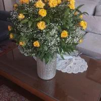 گل طبیعی تشریفاتی|گل و گیاه طبیعی|اصفهان, شهرک امام زمان|دیوار