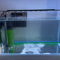 آکواریوم با دیسکس