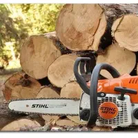 خرید و قطع چوب و انواع درختان باغی و غیره|خدمات باغبانی و درختکاری|چالوس, |دیوار