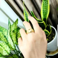 گردنبند انگشتر گوشوار|جواهرات|نورآباد ممسنی, |دیوار