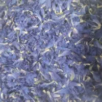 نهال عناب وگل گاوزبان ونهال گل محمدی نهال موز