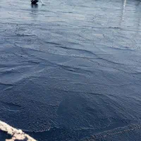 ایزوگام شرق و قیر پاشی|خدمات پیشه و مهارت|رفسنجان, |دیوار