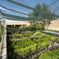 کارگر ساده جهت کار در گلخانه