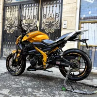 بلنتا در حد خشک