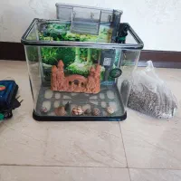 مینی آکواریوم به همراه متعلقات