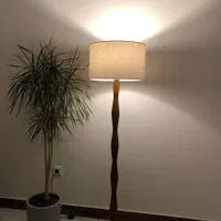 آباژور، آباژور کنار سالنی چوب راش، ۳۳