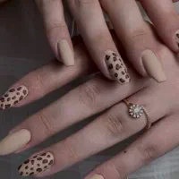 تخفیف خدمات ناخن|خدمات آرایشگری و زیبایی|بوکان, |دیوار