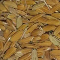 فروش چلتوک
