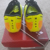 فروش کفش استوک دار چمنی