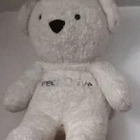 شاسخین زیرقیمت