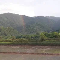 شالی 3000متری|فروش دفتر صنعتی، کشاورزی، تجاری|توتکابن, |دیوار