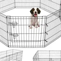 پارک سگ در حد نو