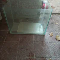 آکواریوم  و وسایل فروشی.