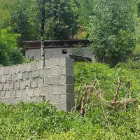 ۵۷۰متر با پروانه ساخت ۱۰۰ متری جنگلی ویو ابدی