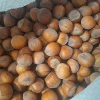 فروش فندق ارگانیک