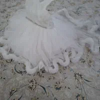 لباس مجلسی|لباس|نسیم‌شهر, |دیوار