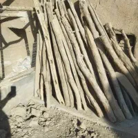 خریده چوب در استان مرکزی و شهرستان ها|خدمات باغبانی و درختکاری|آشتیان, |دیوار