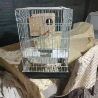 قفس پرنده|لوازم جانبی حیوانات|چهارباغ, |دیوار